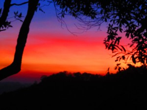 IMG_5320