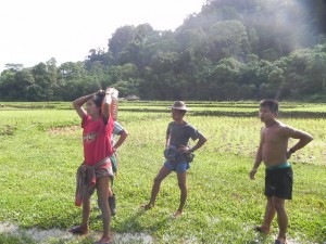 Some local rice farmers.