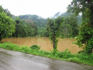 Because of the flooding of the river, the rice paddies are under several feet of water