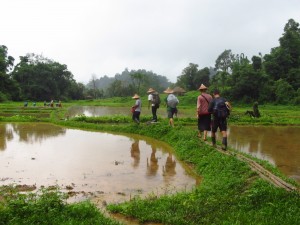 The first part of our hike, was through rice paddies. It was fun trying to do the balancing act!