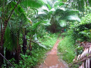 Through flooded, jungle trails.