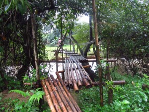 First we have to cross this bamboo bridge before getting to the village.