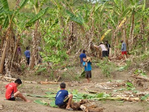 While some were cutting brush and digging holes, some of the teachers and students went across the river to an old banana plantation to dig up banana trees.