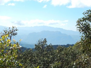 Looking at the mountians in Burma.